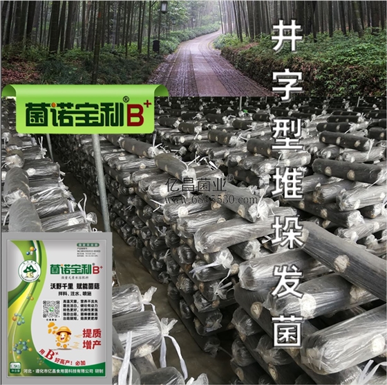 億昌菌業(yè)-菌諾寶利B+（網頁-13）井字形堆垛發(fā)菌