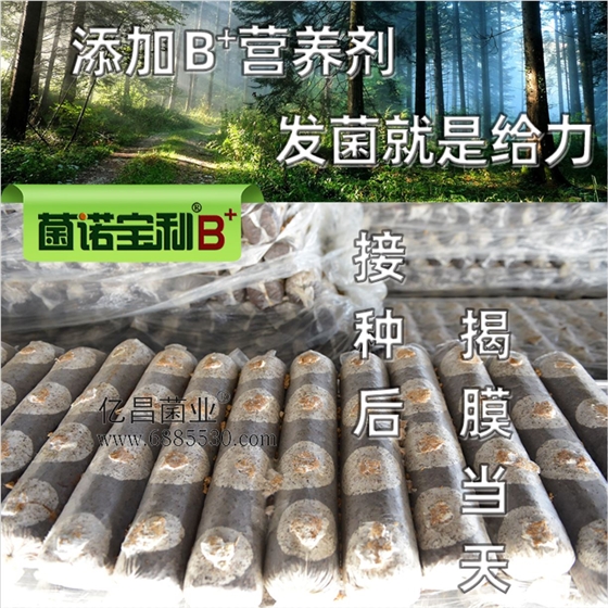 億昌菌業(yè)-菌諾寶利B+（網頁-15）添加B+營養(yǎng)劑，發(fā)菌就是給力
