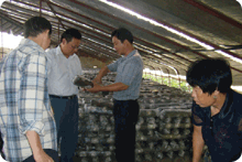 億昌菌業(yè)