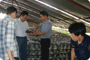 億昌菌業(yè)