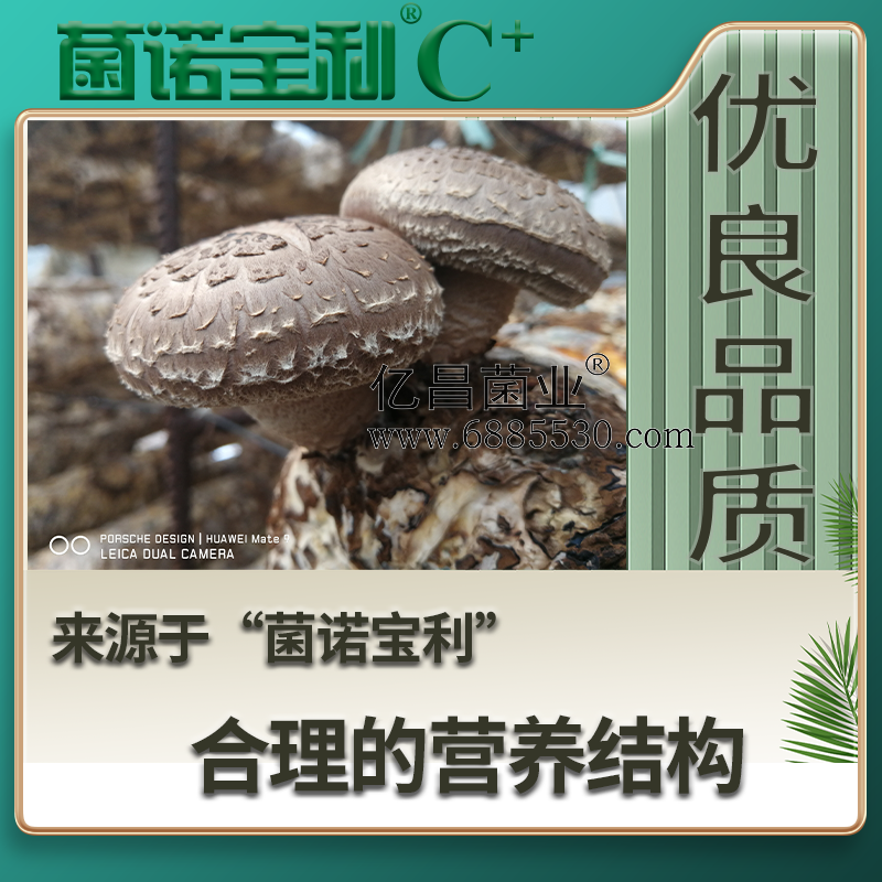 億昌菌業(yè)菌諾寶利C+：注水C+（網(wǎng)頁(yè)版）PC-4（優(yōu)良品質(zhì)，來(lái)自于“菌諾寶利”合理的營(yíng)養(yǎng)結(jié)構(gòu)）.png