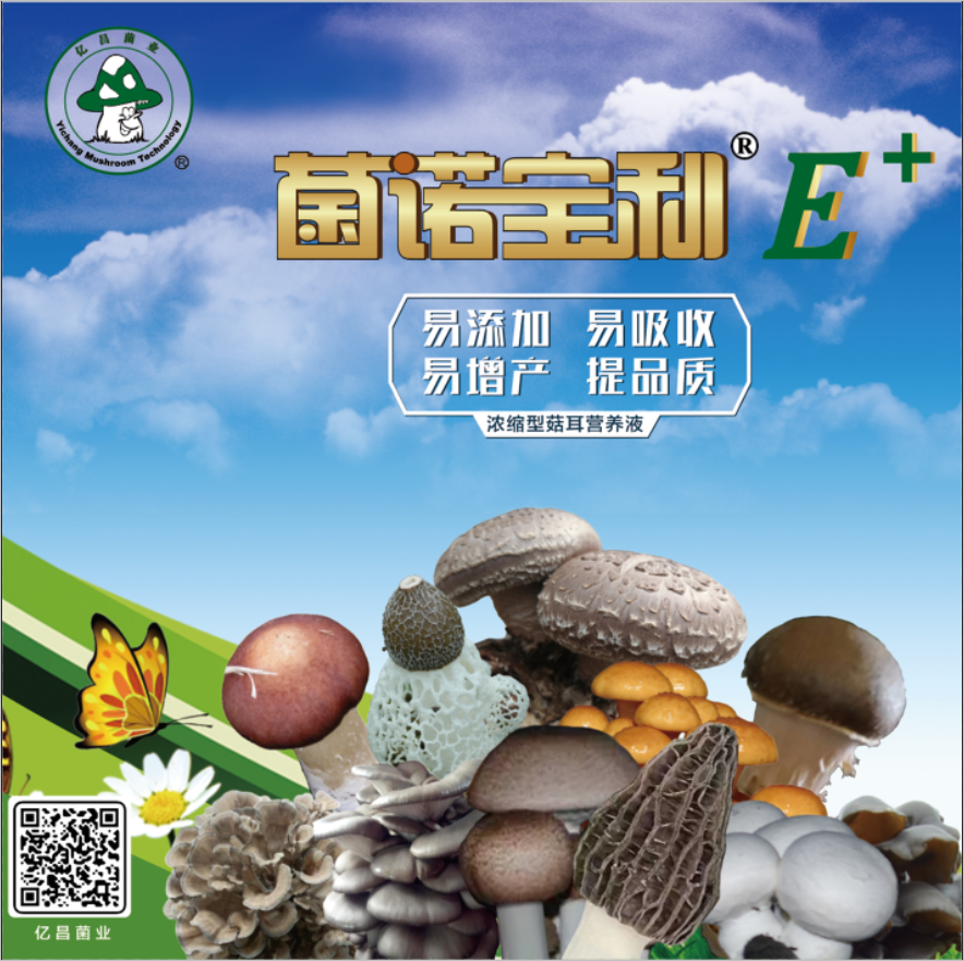 菌諾寶利E+：網(wǎng)頁小圖-3.PNG