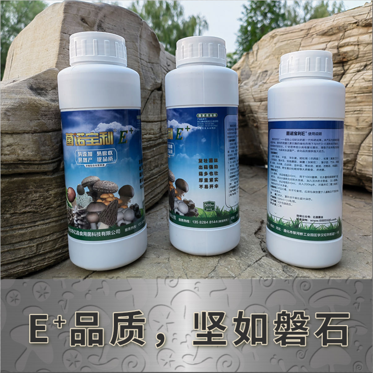 菌諾寶利E+：E+品質(zhì)，堅如磐石