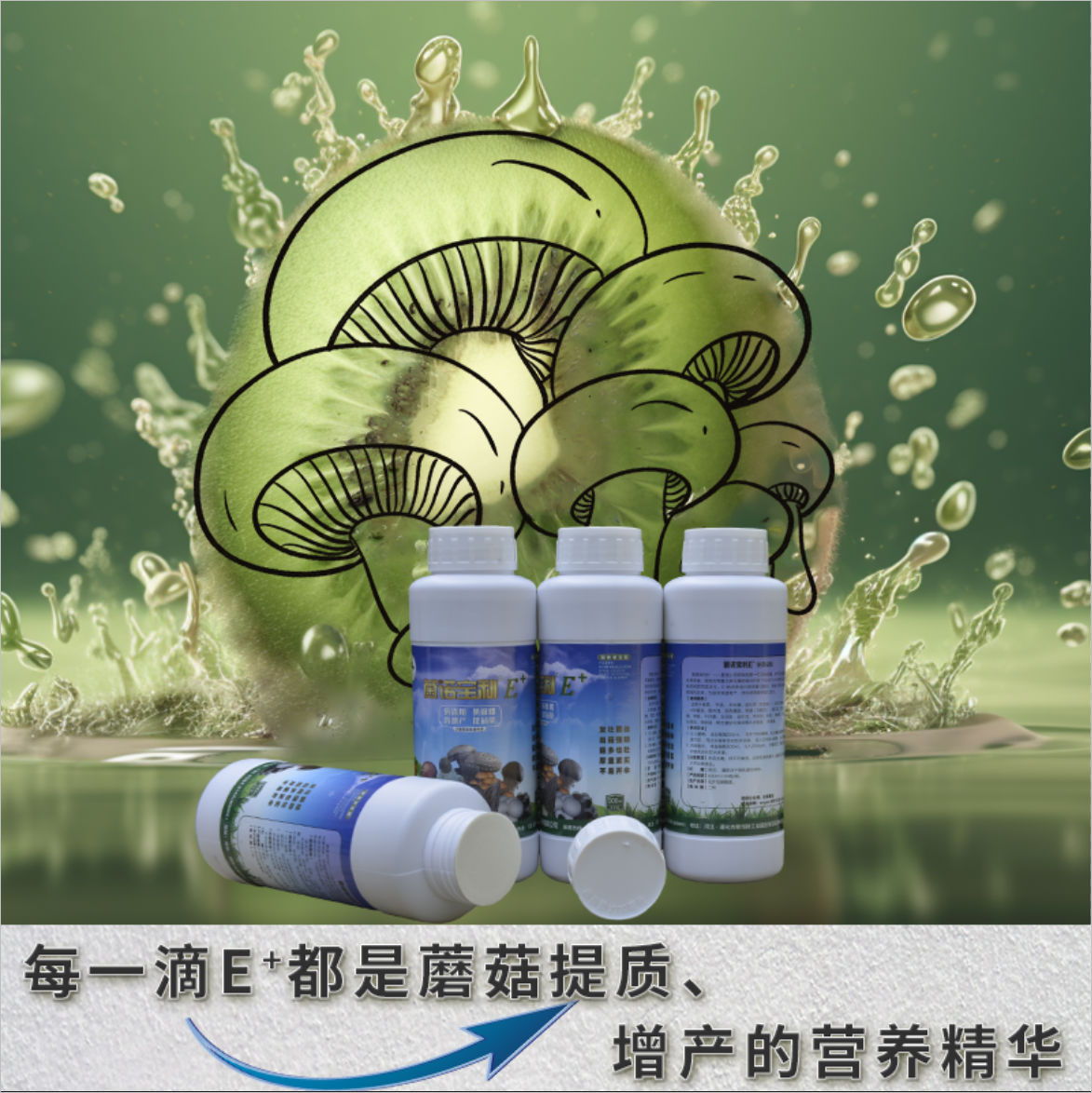 菌諾寶利E+（網(wǎng)頁-11）每一滴E+都是蘑菇長大、長厚的營養(yǎng)精華