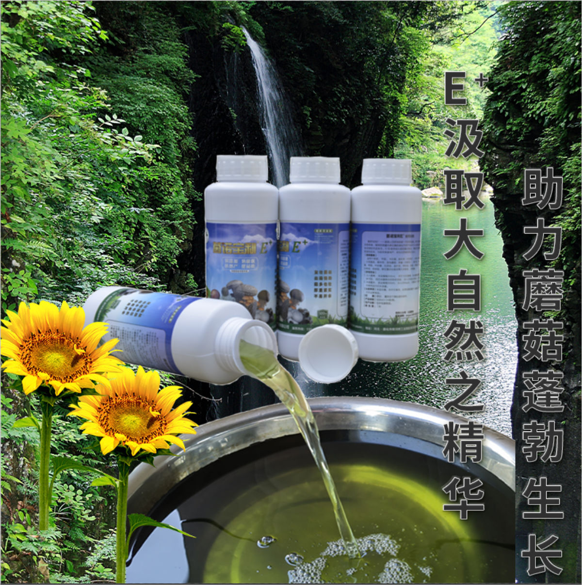 菌諾寶利E+（網(wǎng)頁-12）E+汲取大自然之精華，助力蘑菇蓬勃生長
