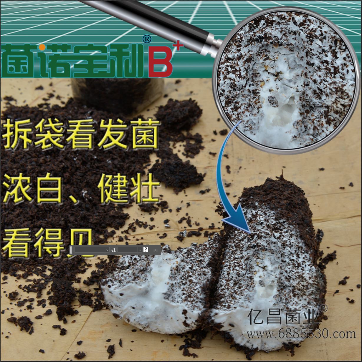 億昌菌業(yè)-菌諾寶利B+（網(wǎng)頁-3）拆袋看發(fā)菌，強(qiáng)壯看得見