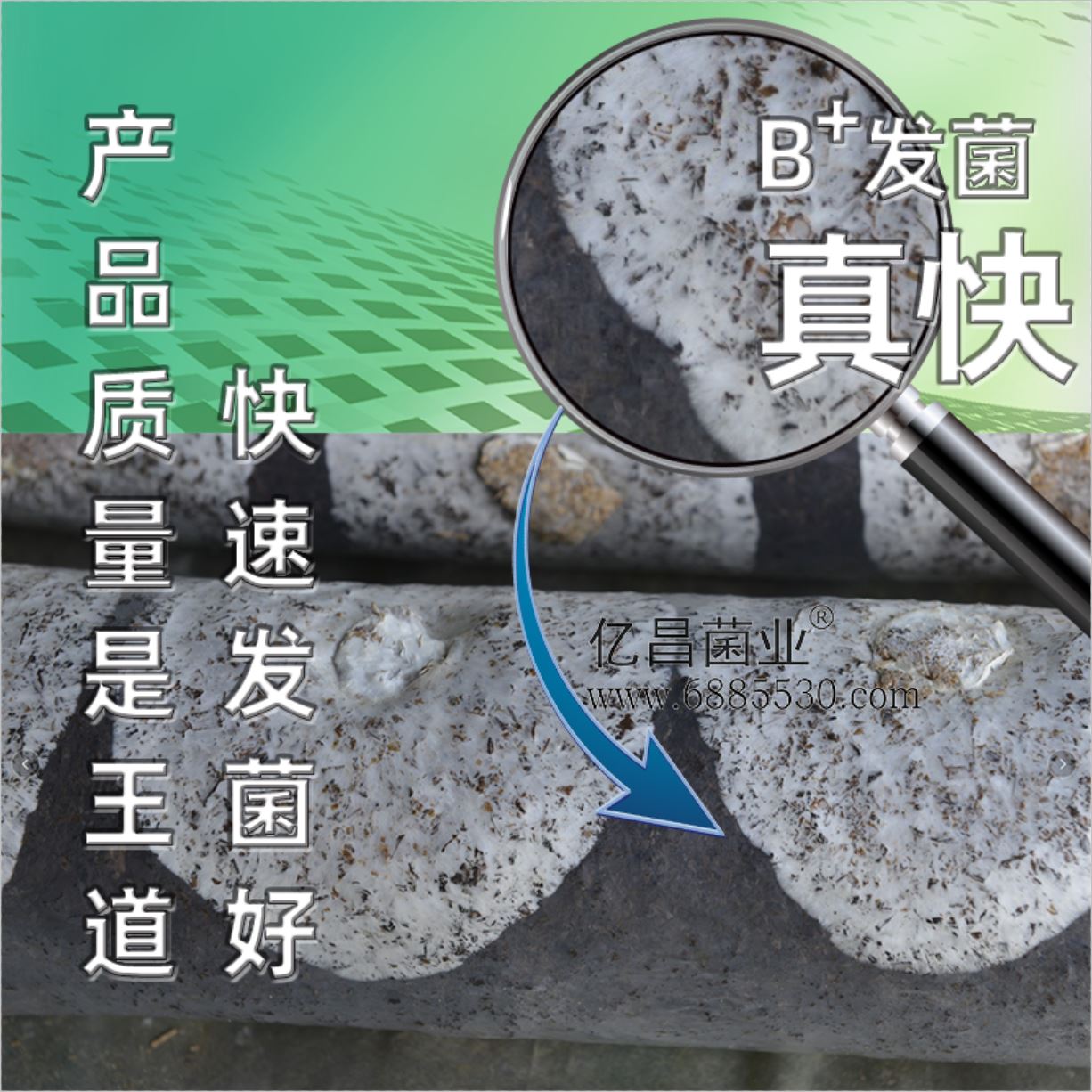 億昌菌業(yè)-菌諾寶利B+（網(wǎng)頁-4）產(chǎn)品質(zhì)量是王道，快速發(fā)菌好，發(fā)菌真快