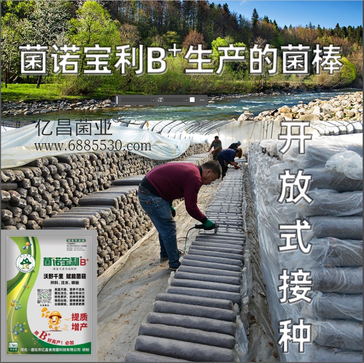億昌菌業(yè)-菌諾寶利B+（網(wǎng)頁-8）開放式接種