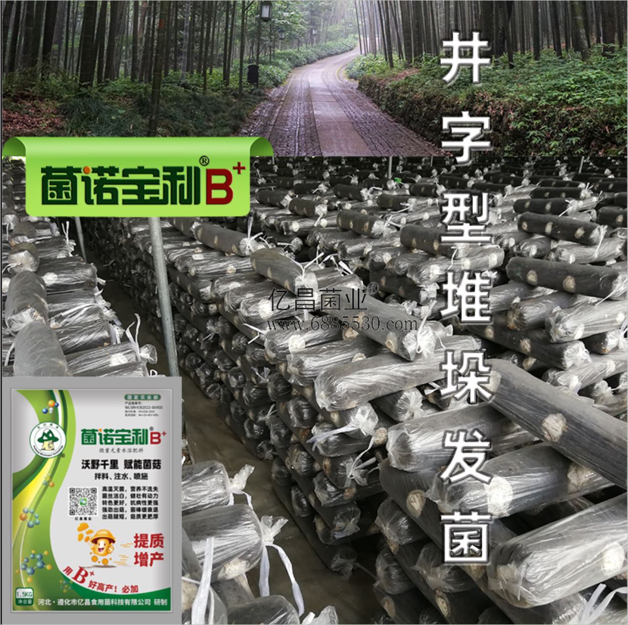 億昌菌業(yè)-菌諾寶利B+（網(wǎng)頁-13）井字形堆垛發(fā)菌