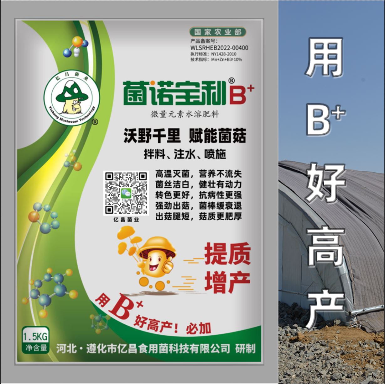 億昌菌業(yè)-菌諾寶利B+（網(wǎng)頁-42）用B+好高產(chǎn)