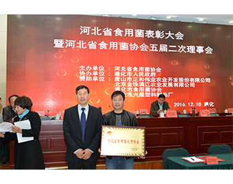 河北省食用菌協(xié)會會長孫利英（左）為張東平頒發(fā)“河北省食用菌優(yōu)秀專家”榮譽(yù)牌匾.JPG
