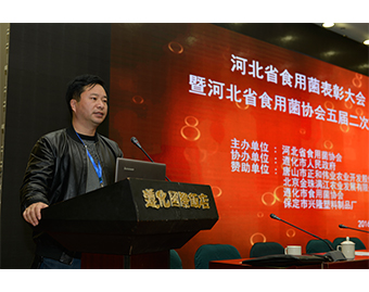 遵化市億昌食用菌科技有限公司被授予“河北省食用菌優(yōu)秀龍頭企業(yè)”榮譽(yù)，張東平（中）接授牌匾2016..JPG