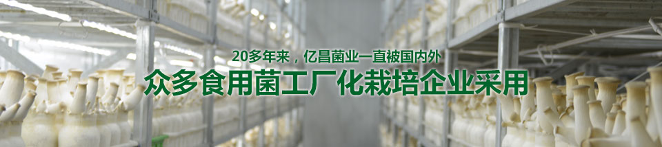 20多年來(lái)，億昌菌業(yè)一直被國(guó)內(nèi)外眾多食用菌工廠化栽培企業(yè)采用