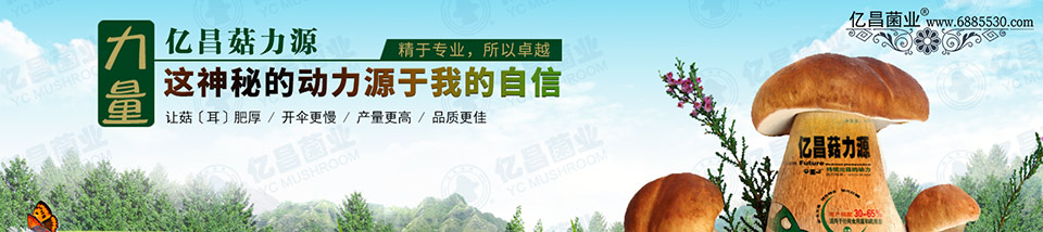 億昌菇力源——讓菇（耳）肥厚、開傘更慢、產(chǎn)量更高、品質(zhì)更佳