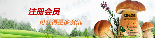 億昌菌業(yè)
