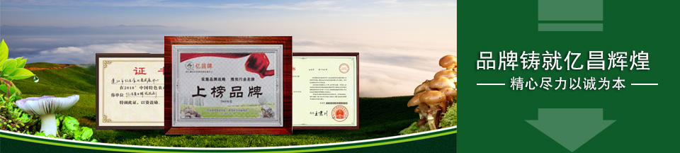 精心盡力以誠為本，品牌鑄就億昌輝煌！